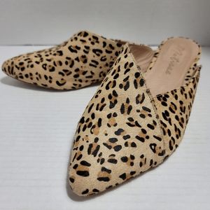 Matisse Lana Leopard Print Calf Hair Slide Mules 10
